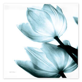 Wandbild Translucent Tulips II - Debra Van Swearingen