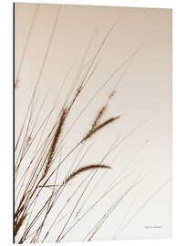 Alubild Gräser I