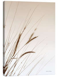 Leinwandbild Gräser I