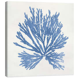 Leinwandbild Pacific Sea Mosses II - Wild Apple Portfolio