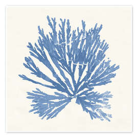 Wandbild Pacific Sea Mosses II - Wild Apple Portfolio