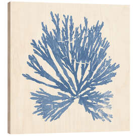 Holzbild Pacific Sea Mosses II - Wild Apple Portfolio