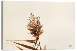 Leinwandbild Schilfrohr I - Nathan Larson
