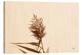 Holzbild Schilfrohr I - Nathan Larson