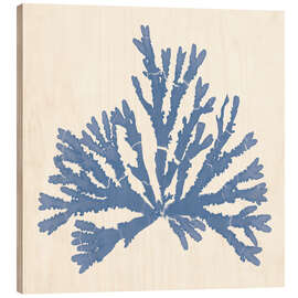 Holzbild Pacific Sea Mosses IV - Wild Apple Portfolio