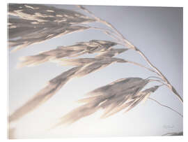 Acrylglasbild Wind im Weizenfeld II - Laura Marshall