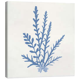 Leinwandbild Pacific Sea Mosses III - Wild Apple Portfolio