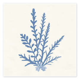 Wandbild Pacific Sea Mosses III - Wild Apple Portfolio