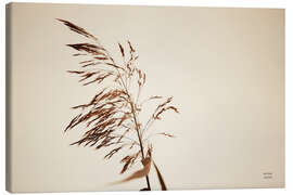 Leinwandbild Schilfrohr III - Nathan Larson