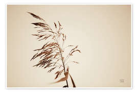 Wandbild Schilfrohr III - Nathan Larson