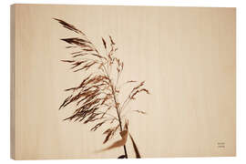 Holzbild Schilfrohr III - Nathan Larson