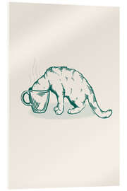 Acrylglasbild Kaffeekatze