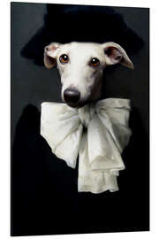 Alubild Livia, Tein Lucasson