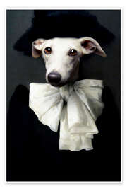 Poster Livia, Tein Lucasson