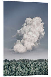 Acrylglasbild Lighten Up - Nathan Larson