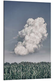 Aluminium print Lighten Up - Nathan Larson