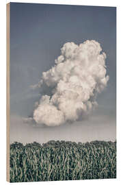 Holzbild Lighten Up - Nathan Larson