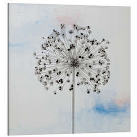 Alubild Agapanthus III