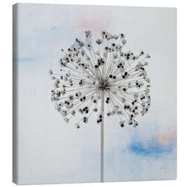 Leinwandbild Agapanthus III