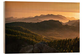 Holzbild Gran Canaria: Pinienwälder am Pico de las Nieves - Sven Hilscher