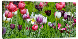 Leinwandbild Tulpenwiese - Atteloi