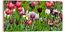 Holzbild Tulpenwiese - Atteloi
