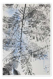 Wandbild Key West Fern - Deborah Revell