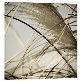 Acrylglasbild Strandgras II - Deborah Revell