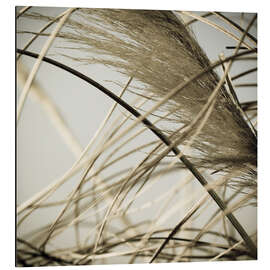 Alubild Strandgras II - Deborah Revell