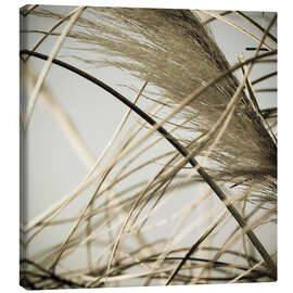 Leinwandbild Strandgras II - Deborah Revell