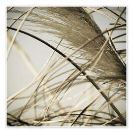 Wandbild Strandgras II - Deborah Revell