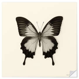 Wandsticker Schmetterling III