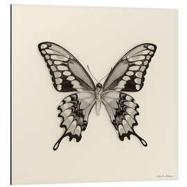 Alubild Schmetterling VI