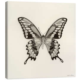 Leinwandbild Schmetterling VI