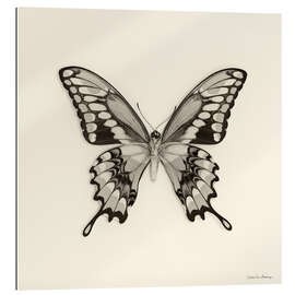 Gallery Print Schmetterling VI