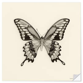 Wandsticker Schmetterling VI