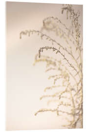 Acrylglasbild Gräser im Wind