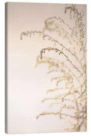 Leinwandbild Gräser im Wind