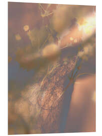 Hartschaumbild Sommerliches Schattenspiel - Art Couture