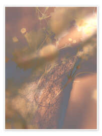 Wandbild Sommerliches Schattenspiel - Art Couture