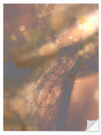 Wandsticker Sommerliches Schattenspiel - Art Couture