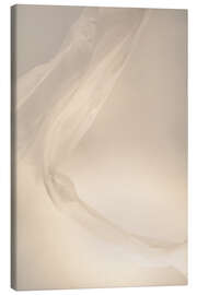 Leinwandbild Federleichtes Lichtspiel - Art Couture