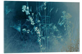 Acrylglasbild Invertierte Gräser