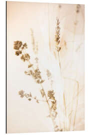 Alubild Let The Light In