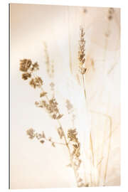 Gallery Print Let The Light In