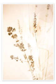 Wandbild Let The Light In - Art Couture