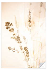 Wandsticker Let The Light In