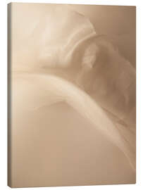 Leinwandbild Unter der Bettdecke - Art Couture