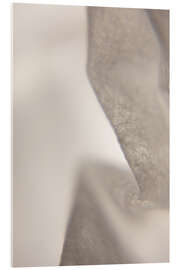 Acrylglasbild Transluzent Beige - Art Couture