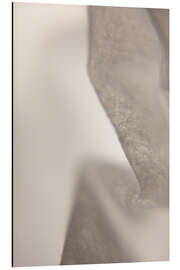 Tableau en aluminium Translucent Beige - Art Couture